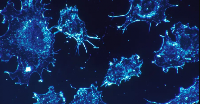 Científicos aseguran que tendrán la cura del cáncer en un año