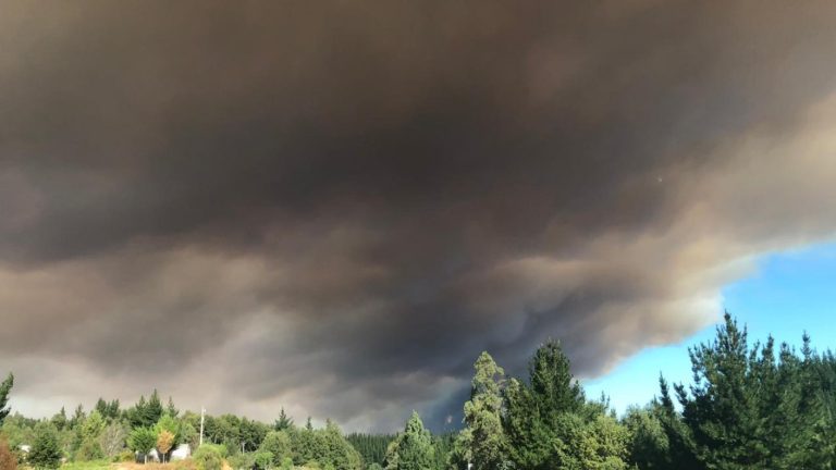 4 bomberos resultan lesionados combatiendo incendios forestales en Nacimiento