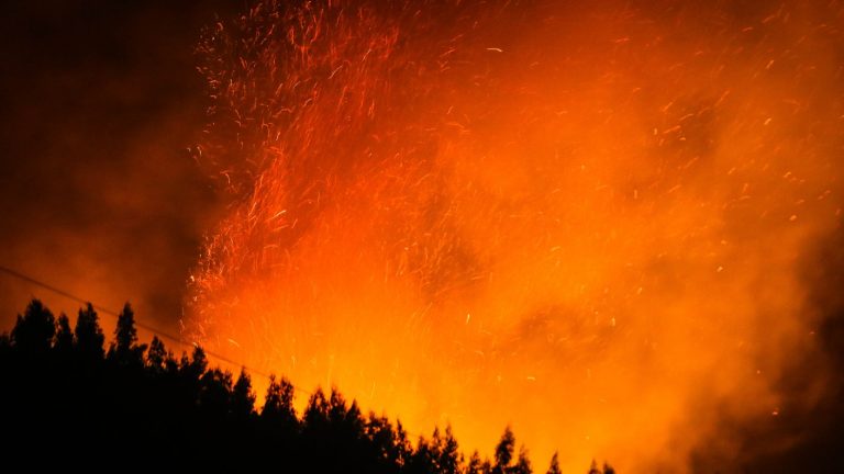 Incendios forestales: Onemi declara Alerta Roja en Pitrufquén y solicita evacuar sector de Loica