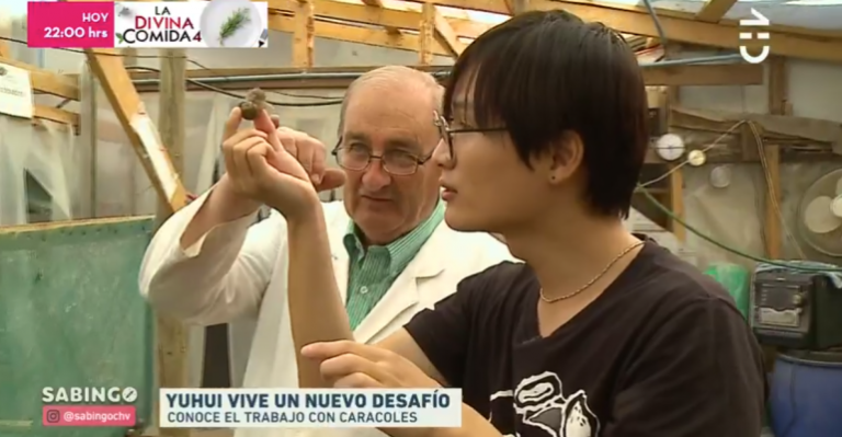 Yuhui conoció todos los beneficios de la baba de caracol