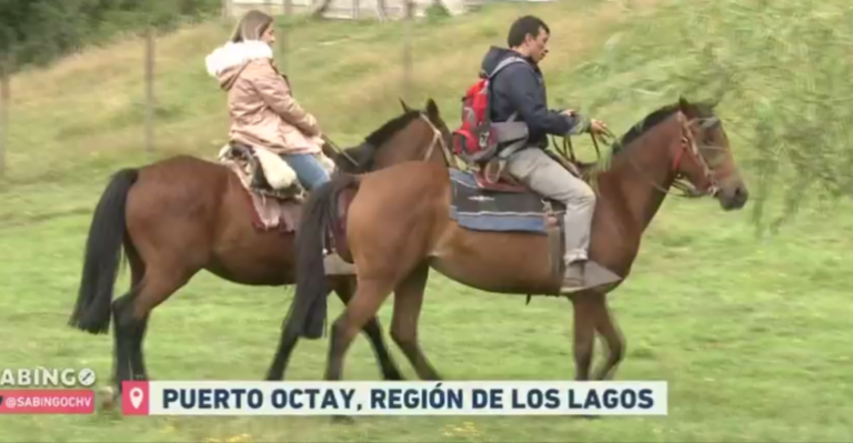 Ruta turística: Conocimos lo mejor de Puerto Octay