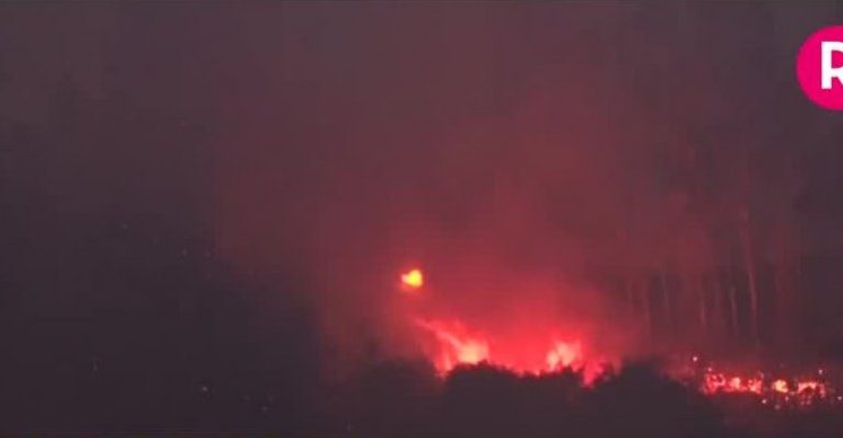 Eduardo Sáez analizó los más de 30 incendios en La Araucanía