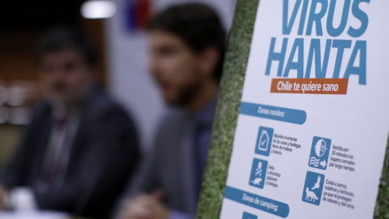 Seremi de Salud confirma primer caso de contagio con virus Hanta en la Región Metropolitana