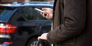 Un chihuahua, dientes de oro y una cabeza de salmón: Los objetos más extraños que han sido olvidados en Uber