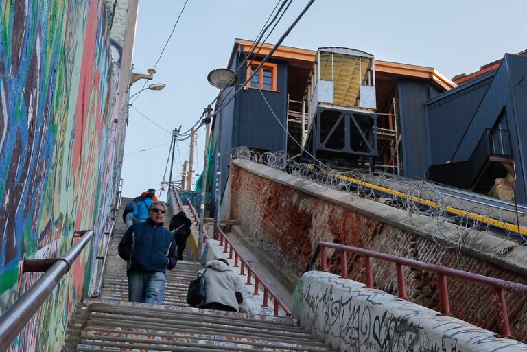 Cruel maltrato animal: Impacto por gatos muertos que aparecieron colgados en un poste de Valparaíso