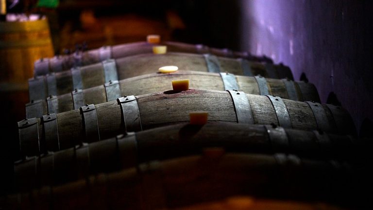 Chile exporta más de 850 millones de litros de vino cada año: ¿Para dónde se van?