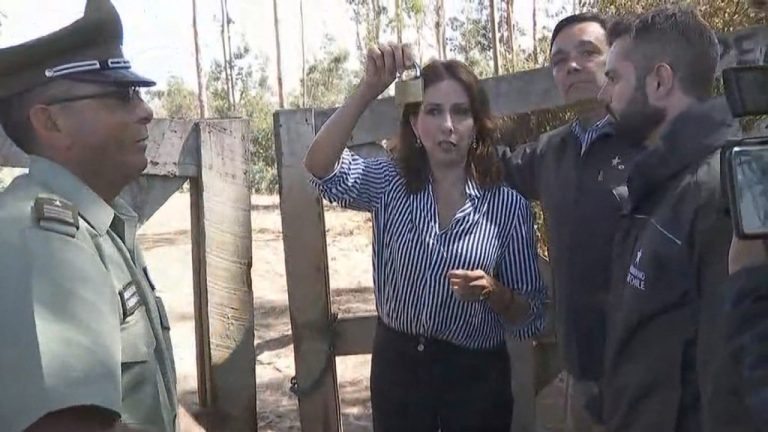 Dueños de terreno de Pichilemu que bloqueaba acceso a la playa presentaron recurso contra el Estado