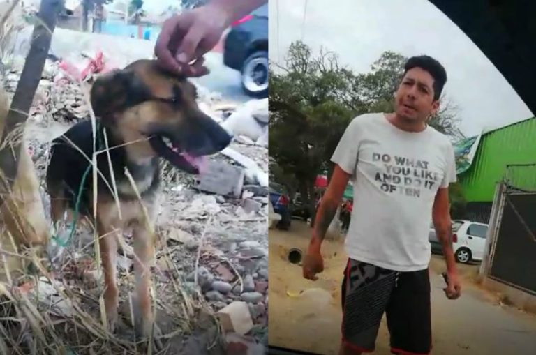 Perrita se estaba ahogando con un cordel luego que dueño la abandonara afirmando que “destruyó mi casa y mató a mi gato”