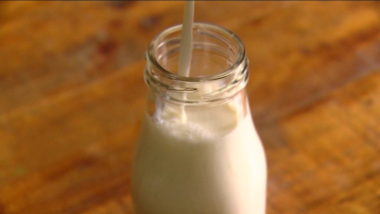 Fin al mito de la leche procesada: Estudio concluye que no existen diferencias nutricionales con la leche natural