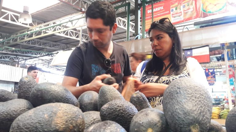 El poder secreto del cuesco de la palta: Ayuda al tratamiento de la artritis y hasta del cáncer