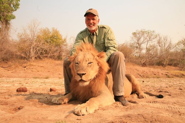 Repudio mundial a cazador que mató a león durmiendo y posó con su cabeza como si fuera un trofeo