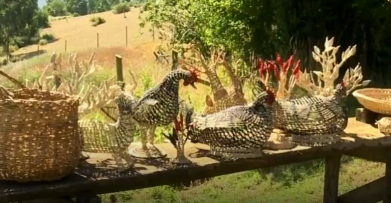 Los Huasitos fueron en busca de tradiciones a San José de la Mariquina