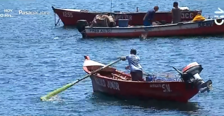Conoce todas las bondades de Caleta Coloso