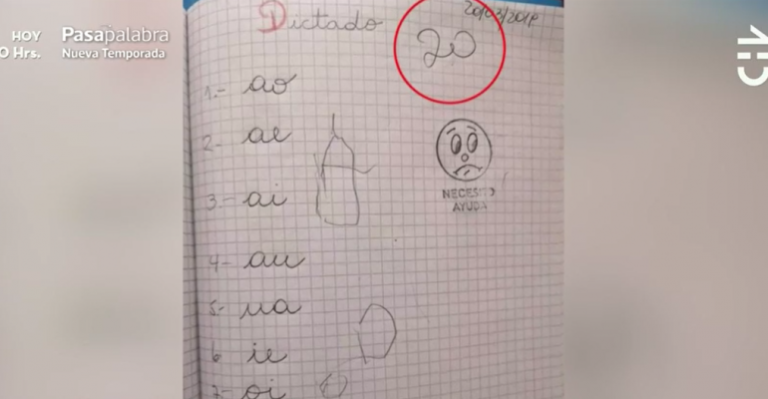 Colegio de Arica evaluó con baja calificación a niña con parálisis cerebral