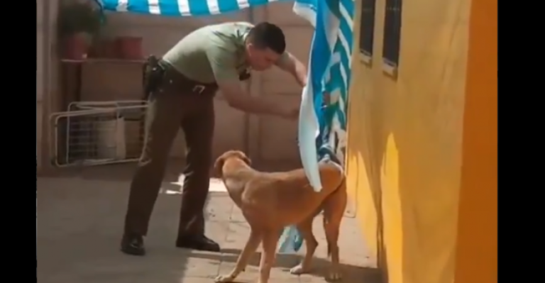 Carabinero sacó aplausos tras rescatar a perrito atrapado en malla