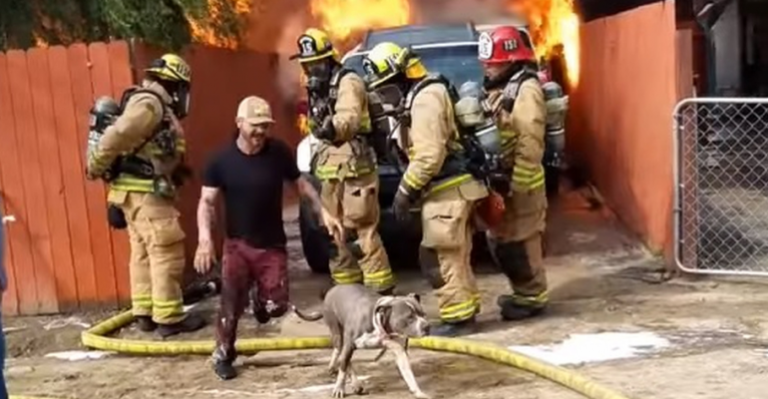 Hombre arriesgó su vida en incendio para salvar a su perra Pitbull