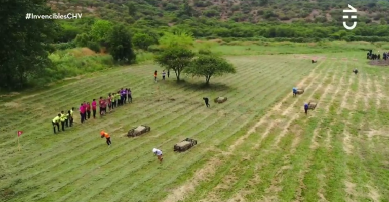 Conoce las familias que reingresaron a Invencibles en el especial de repechaje