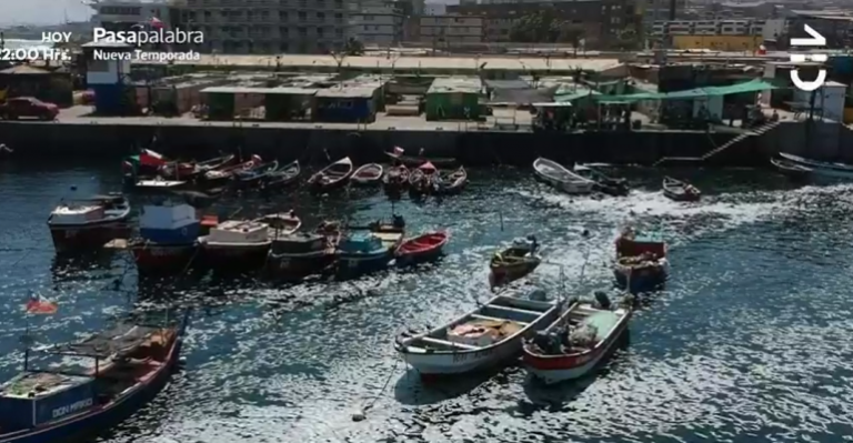 Sabingo conoció la historia de la Caleta de Antofagasta