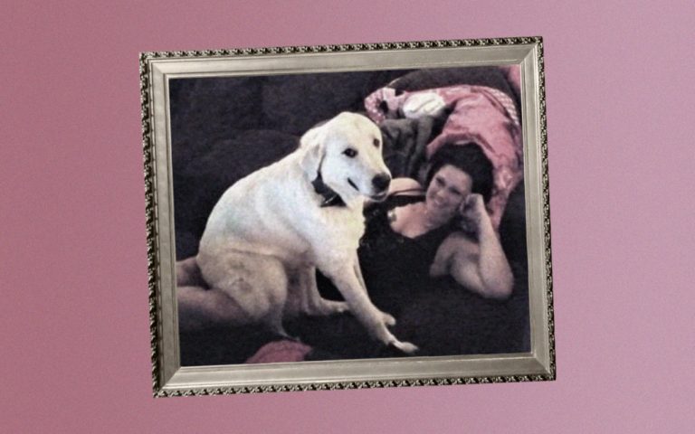 Lo despidieron como un héroe: Perro dio la vida para proteger a su familia de un violento robo en casa