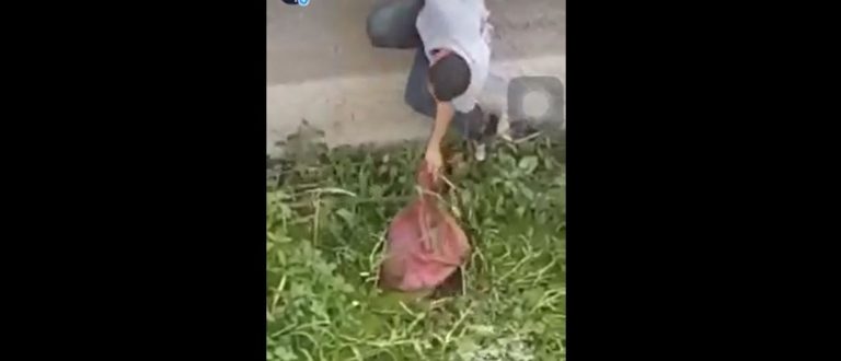 Jóvenes rescataron a perrita que desconocidos habían querido ahogar tirándola en un saco