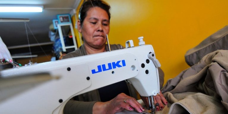 Capital Abeja 2019: Sepa cómo postular para recibir hasta $3.500.000 y concretar tu emprendimiento