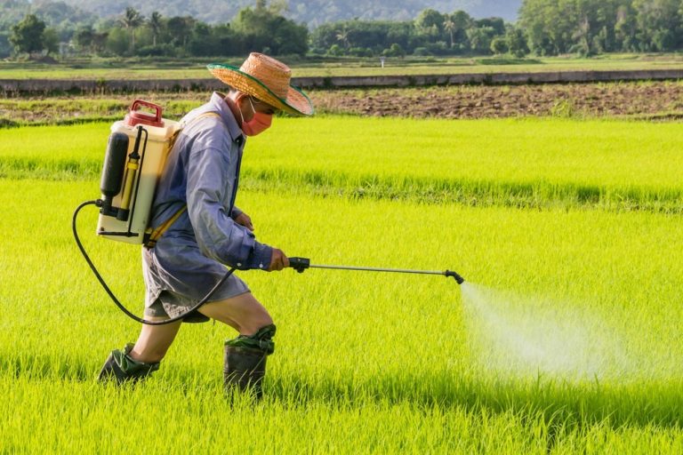 Uno de los pesticidas más usados del mundo será prohibido en la Unión Europea