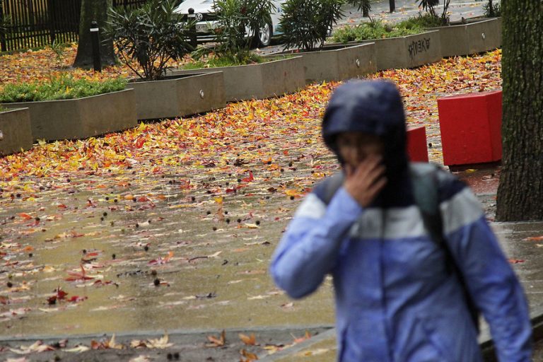 ¿Llegarán a Santiago? Emiten alertas meteorológicas por fuertes vientos en el sur del país