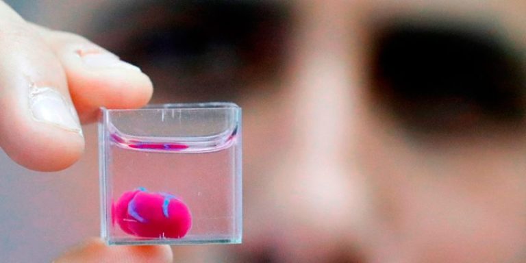 Científicos logran imprimir el primer corazón funcional y palpitante
