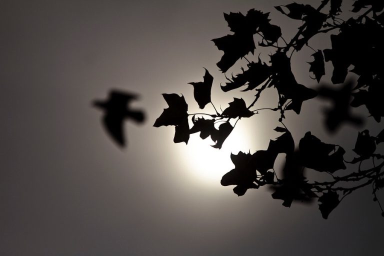 ¡Se tenía que preguntar y se preguntó! Si en “abril, lluvias mil” entonces, ¿por qué no llueve?