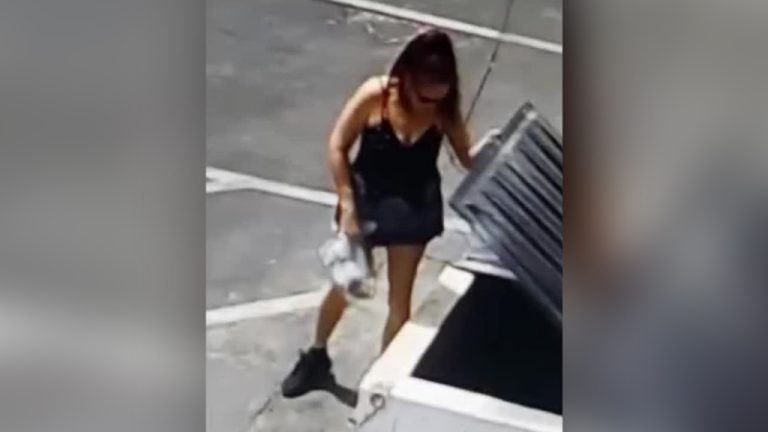 Cámara grabó todo: Botó siete cachorros a un basurero y ahora la policía la busca