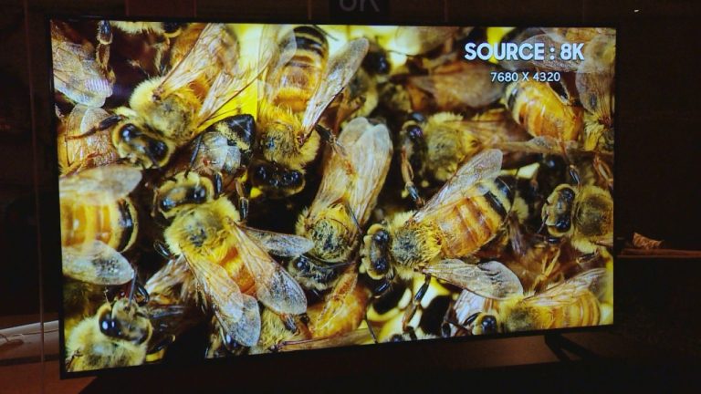 La realidad como nunca la habías visto: Televisores 8K llegan a Chile para cambiarte la vida
