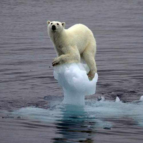 “Es escoger la ignorancia”: El negacionismo ante el cambio climático y los peligros que conlleva