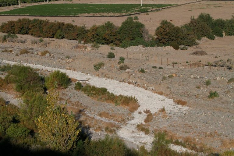 La #GeneraciónSequía, otra consecuencia de la prolongada falta de lluvias en la zona central
