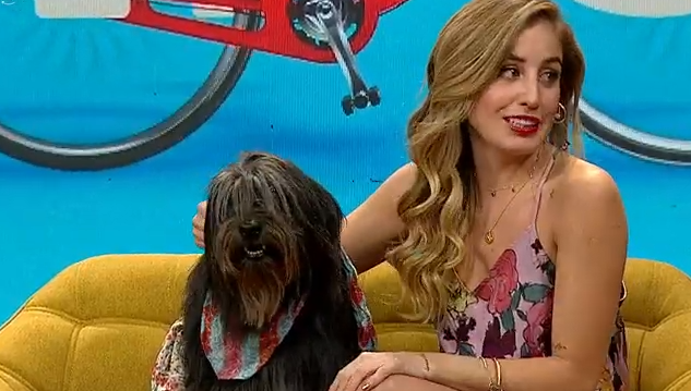 Dani Castro explicó por qué puede ir a todas partes con su perrita Chalota