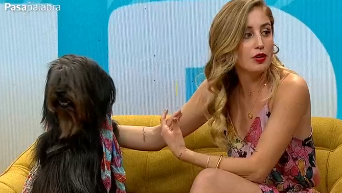 Dani Castro contó que tiene permiso para viajar en avión con su perrita Chalota