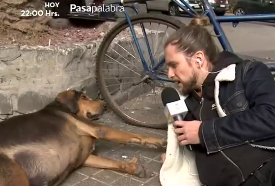 Mira el tierno momento protagonizado por Jean Philippe y un perro callejero