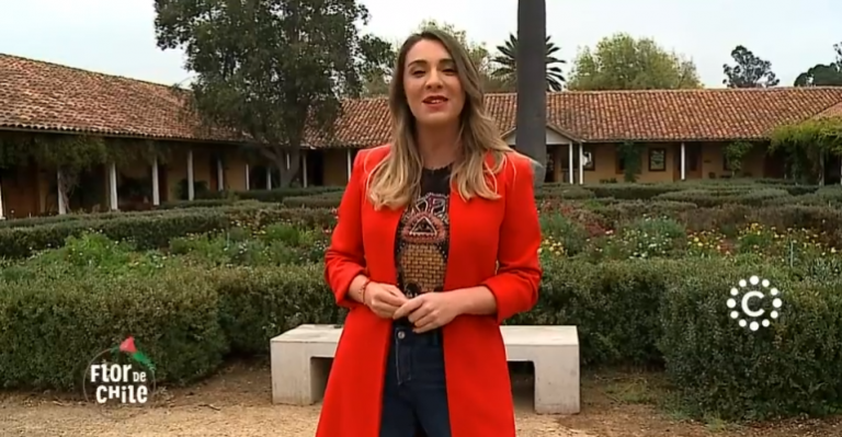 Flor de Chile | Capítulo 13 de abril