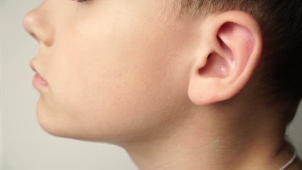 Niño de 9 años fue al hospital por fuerte dolor de oído y descubren que tenía una garrapata en el tímpano