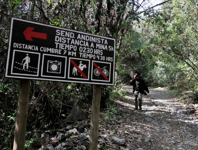 Sueldos podrían llegar hasta $1.200.000: Conaf necesita 1.500 guardaparques para trabajar en áreas silvestres