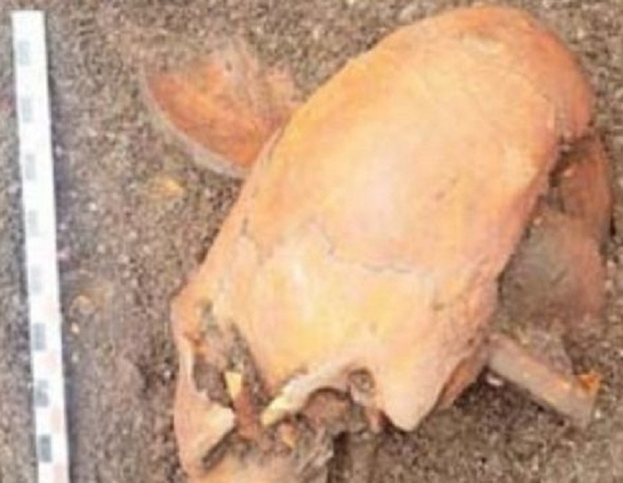 Tendría más de mil años: Hallan misterioso cráneo alargado en el borde costero de Arica