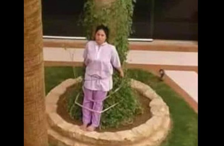 La insólita razón por la que un empresario amarró a un árbol a su asesora del hogar