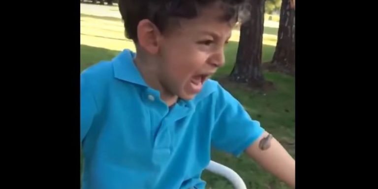 Trauma de infancia: Se le encaramó una rana y la mamá terminó metiéndosela en la boca