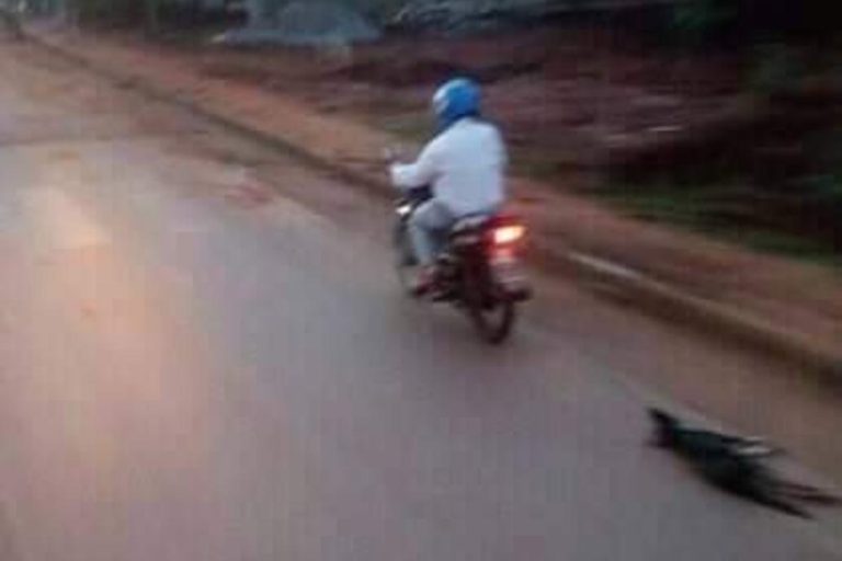 Despiadado maltrato animal: Hombre arrastra a perro colgado de una moto en movimiento hasta matarlo