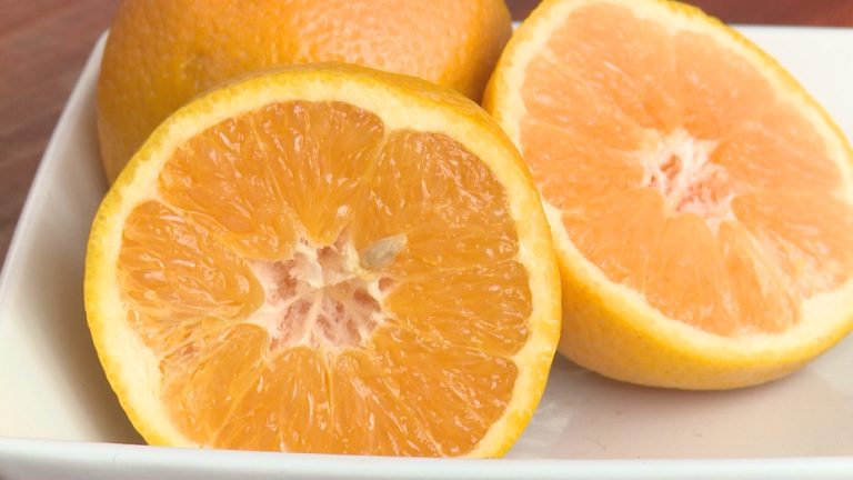 No previene el resfrío: Los mitos y verdades de los beneficios de la vitamina C