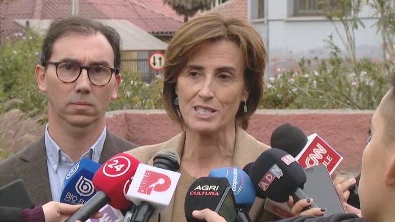 Ministra de Educación descartó que cambios en malla curricular impliquen menos horas de Historia