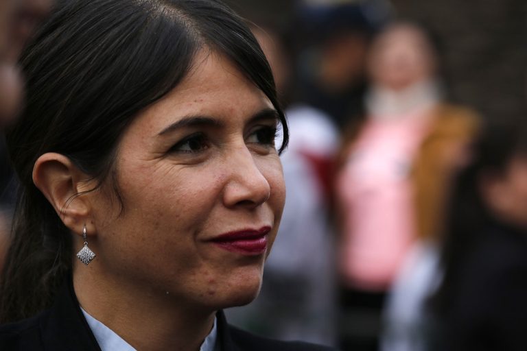 Estudiante baleado en Puerto Montt: Gobierno solicita avanzar en revisión de mochilas en colegios