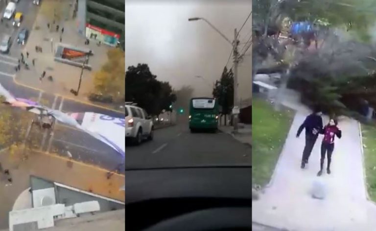 Caída de árboles y fuertes vientos: Las consecuencias del frente de mal tiempo que afecta a la capital