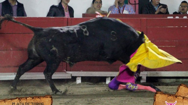Mexicana recibió cornada de toro en el rostro que la dejó desfigurada