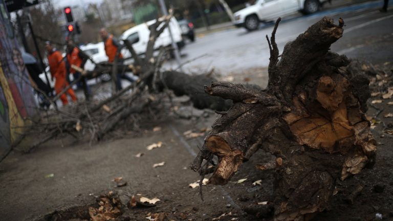 Rafagas de viento en Santiago dejan cortes de luz, semáforos apagados y árboles caídos