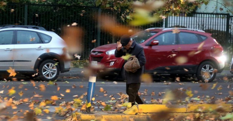 Cortes de luz y caídas de árboles fue el saldo que dejó el fuerte viento en la capital